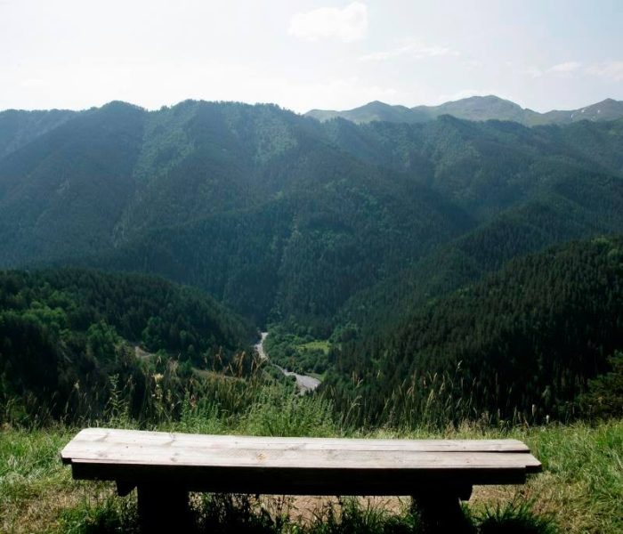 Forestry Conservation