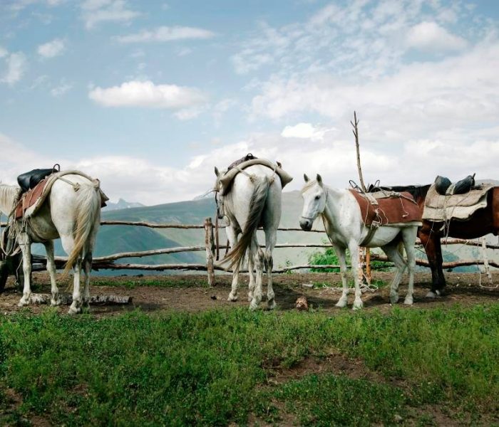 Tourism and Recreation