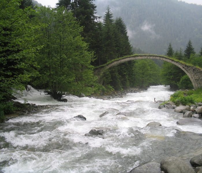 Land Use and Water Management